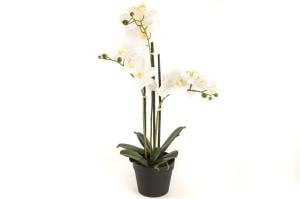 Beyaz 3lü Yapay Orkide 65cm