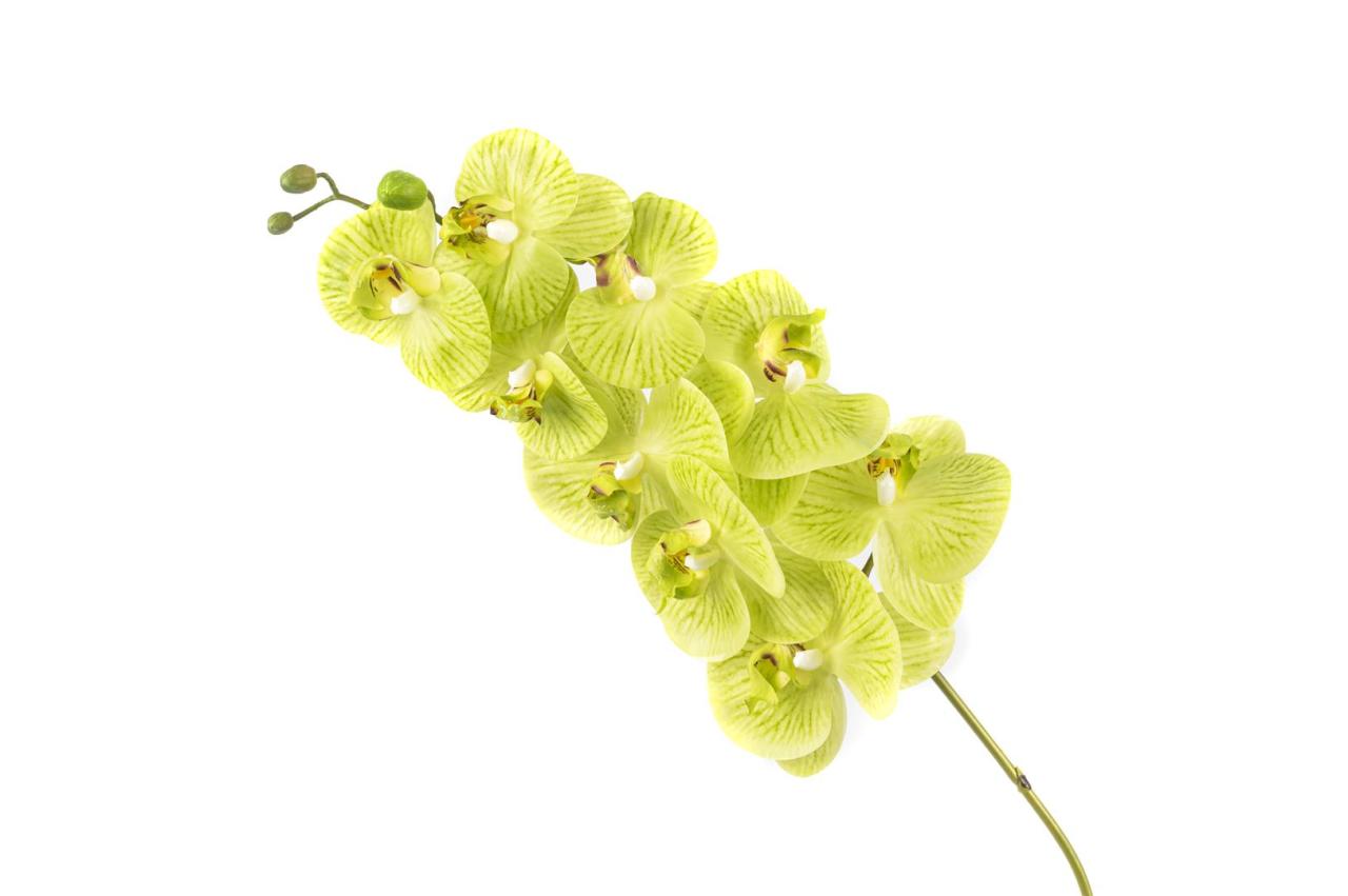 Yeşil Tek Yapay Orkide 81cm