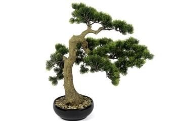 3 Dallı Pine Tree Yapay Bonsai Ağacı 56x52cm