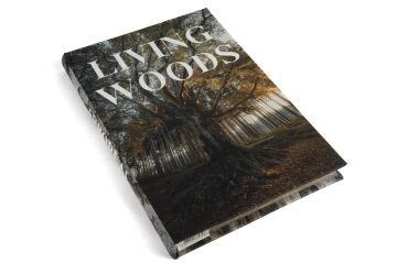 Living Woods Forest Kitap Kutu 34x24x3cm