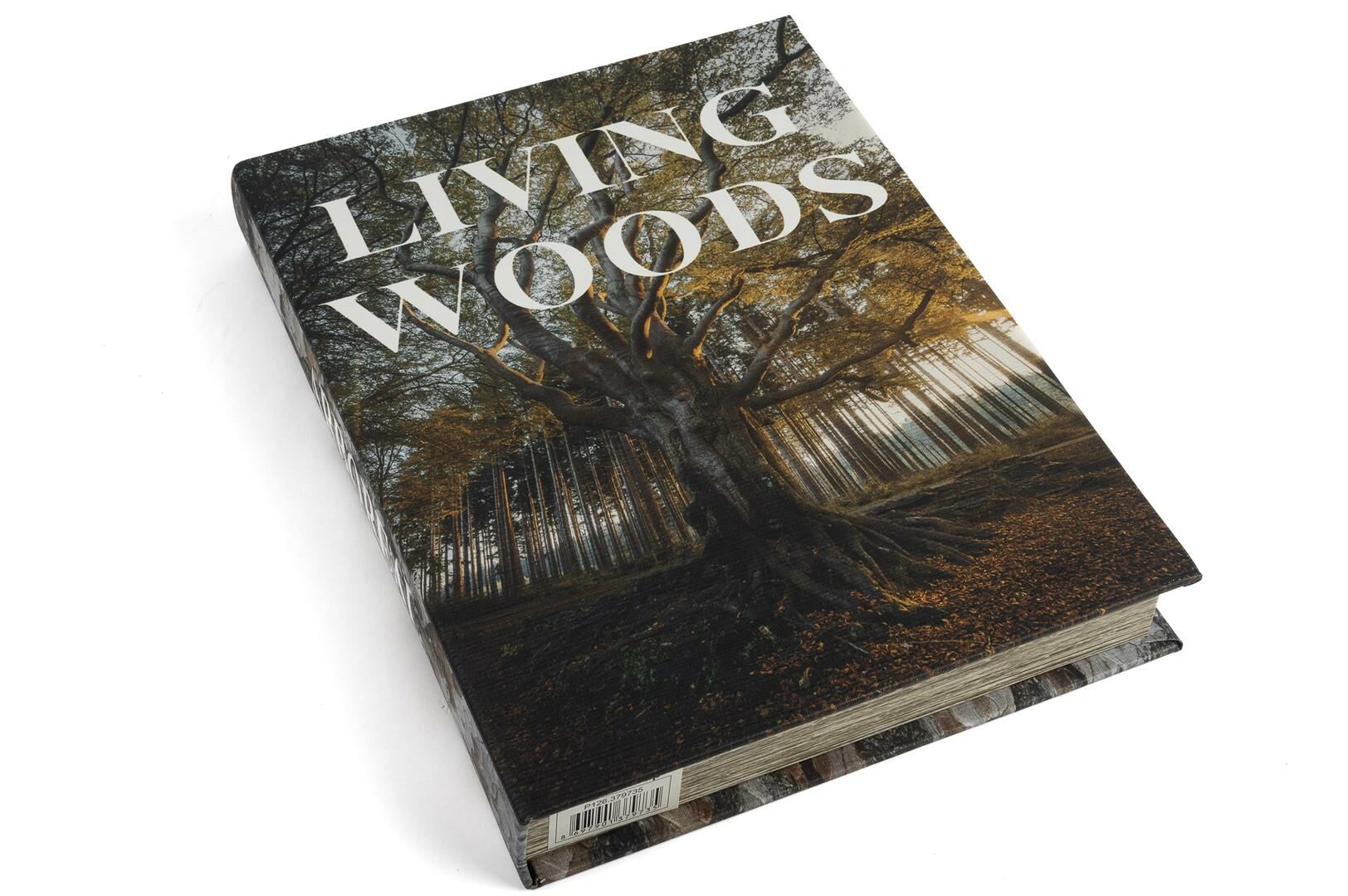 Living Woods Forest Kitap Kutu 29x22x4cm
