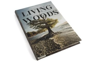 Living Woods Kitap Kutu 35x24x3cm