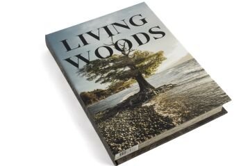 Living Woods Kitap Kutu 29x22x4cm
