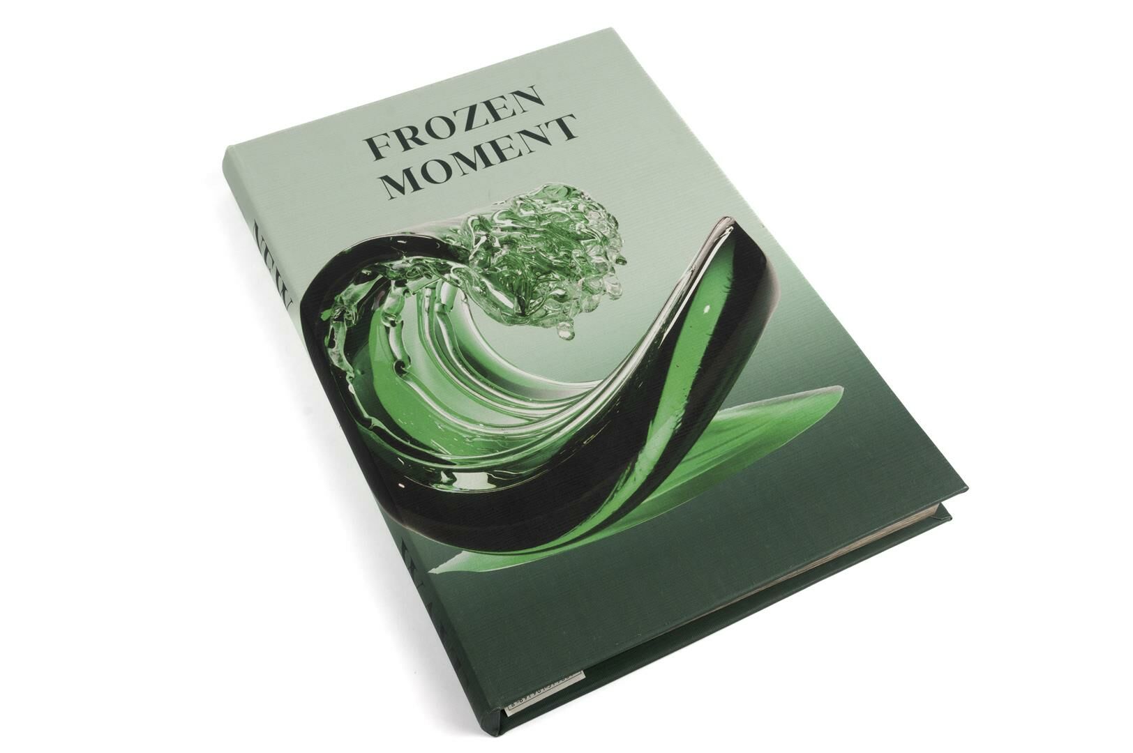 Yeşil Frozen Moment Kitap Kutu 35x24x3cm