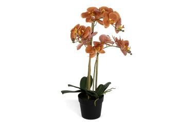 Turuncu 3lü Yapay Orkide 65cm