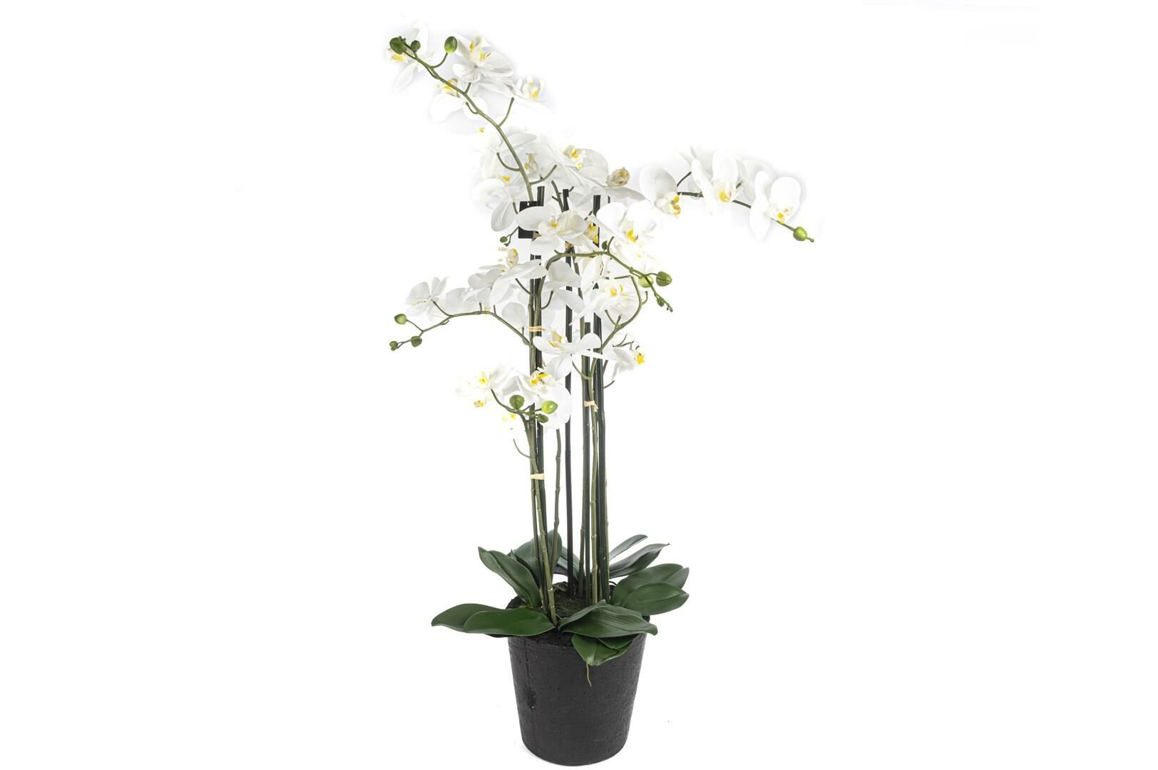 Beyaz 8li Yapay Orkide 110cm