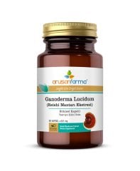 REİSHİ MANTARI ( GANODERMA LUCİDUM )