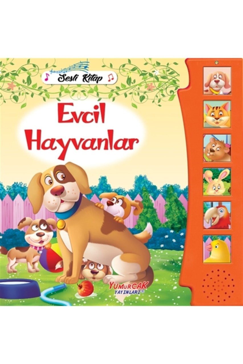 Evcil Hayvanlar Sesli Kitap