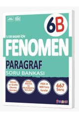 FENOMEN 6.SINIF PARAGRAF (B) SORU BANKASI