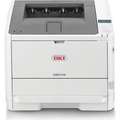 OKI 45762042 ES5112 EURO PRINTER N22501B