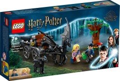 LEGO Harry Potter Hogwarts Araba ve Testraller 76400