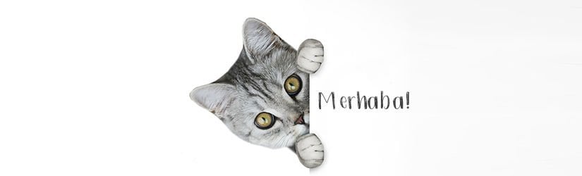 Merhaba!