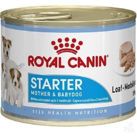 Royal Canin Starter Anne ve Yavruları için Köpek Konservesi 195 gr(stt.09/2025)