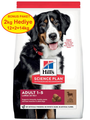 Hills Large Breed Büyük Irk Kuzulu Yetişkin Köpek Maması 12+2 kg Bonus(stt:01/2025)