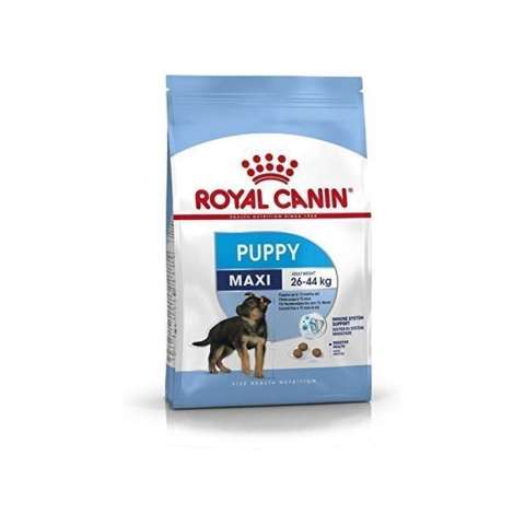 Royal Canin Maxi Puppy Büyük Irk Kuru Yavru Köpek Maması 15 kg(stt.01/2025)