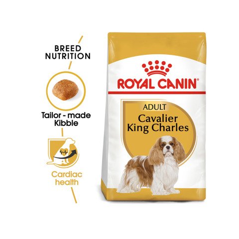 Royal Canin Cavalier King Charles 27 Yetişkin Köpek Maması 1.5 Kg(stt: 12/2024)