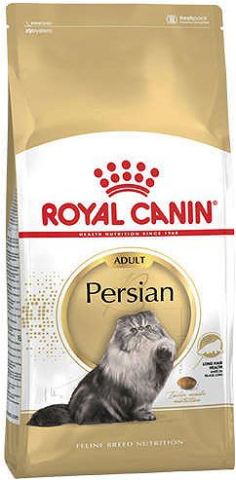 Royal Canın Adult Persian Iran Kedilerine Özel 4 kg Yetişkin Kuru Kedi Maması (stt:07/2024)