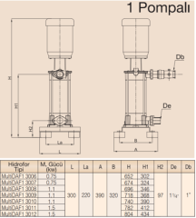 MultiDAF1 3000-9/Tek Pompalı Dik Hidrofor 1,1 kW (1¼''-1'') (7-8) Kat (0-20) Daire