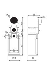 Gwest GLS-121 Limit Switch - Dikey Metal Makaralı Çift Yön 10 Adet