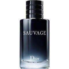 Christian Dior Sauvage EDT 100ml Erkek Parfümü