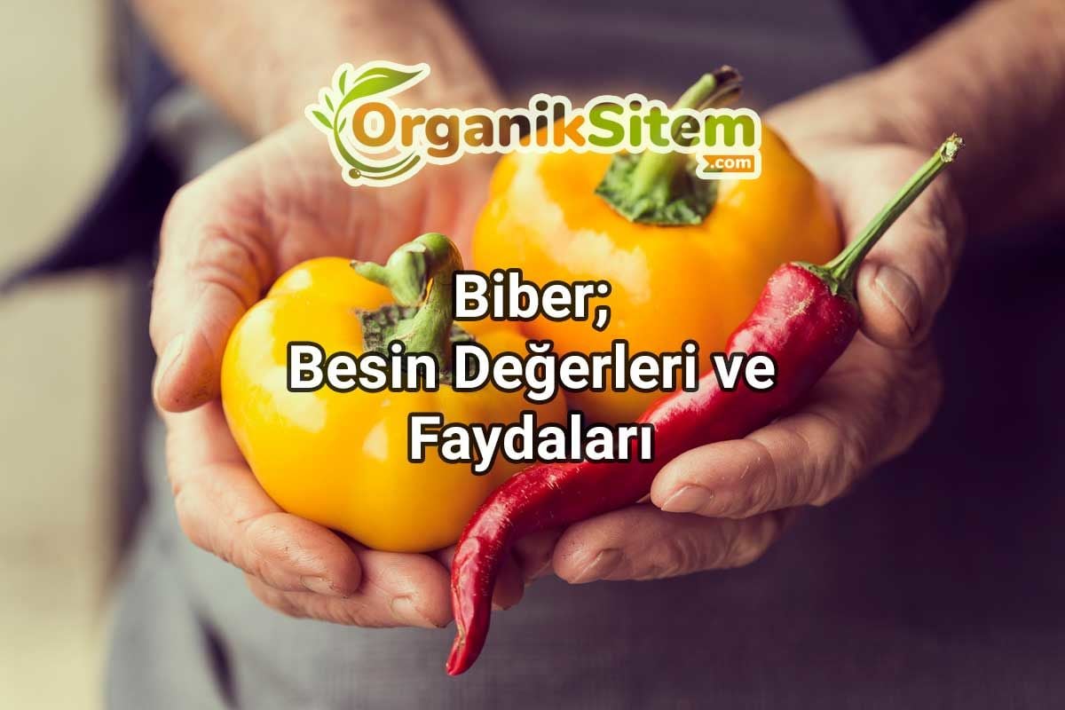 Biber; Besin Değerleri ve Faydaları