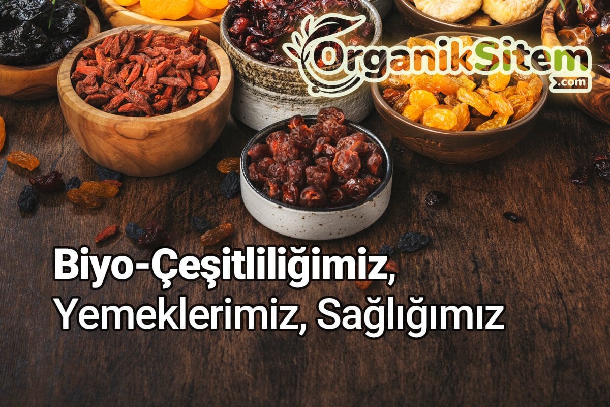 Biyo-Çeşitliliğimiz, Yemeklerimiz, Sağlığımız
