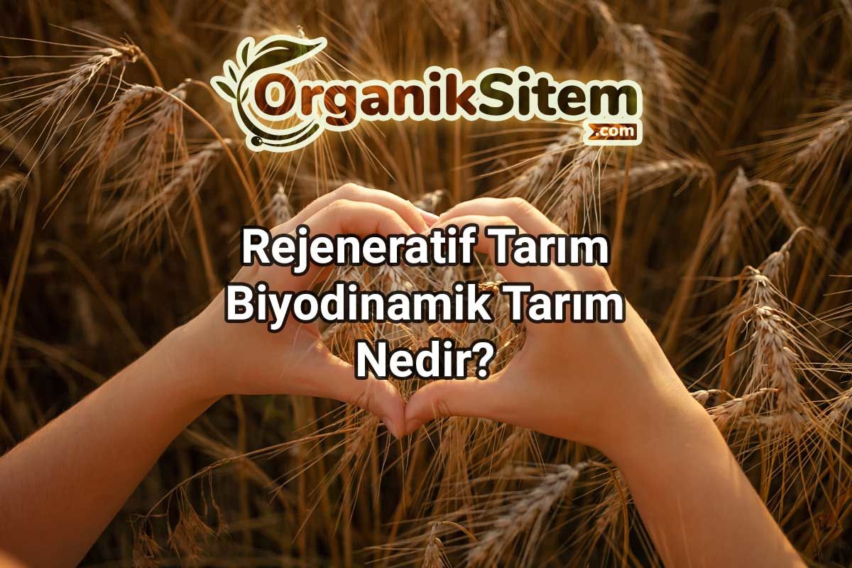 Rejeneratif Tarım, Biyodinamik Tarım Nedir?