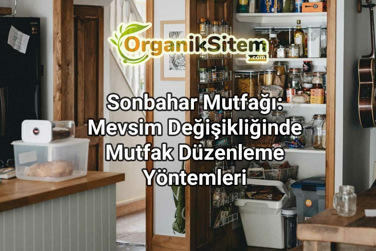 Sonbahar Mutfağı: Mevsim Değişikliğinde Mutfak Düzenleme Yöntemleri
