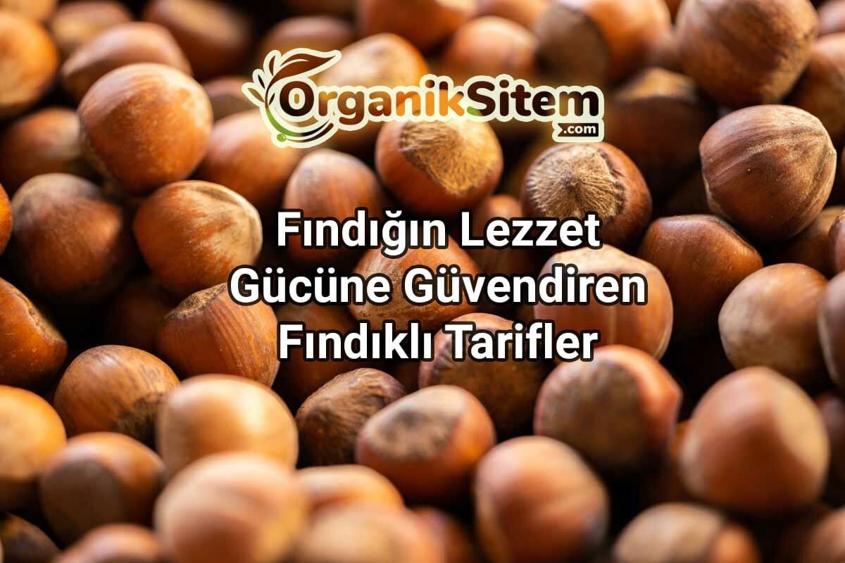 Fındığın Lezzet Gücüne Güvendiren Fındıklı Tarifler