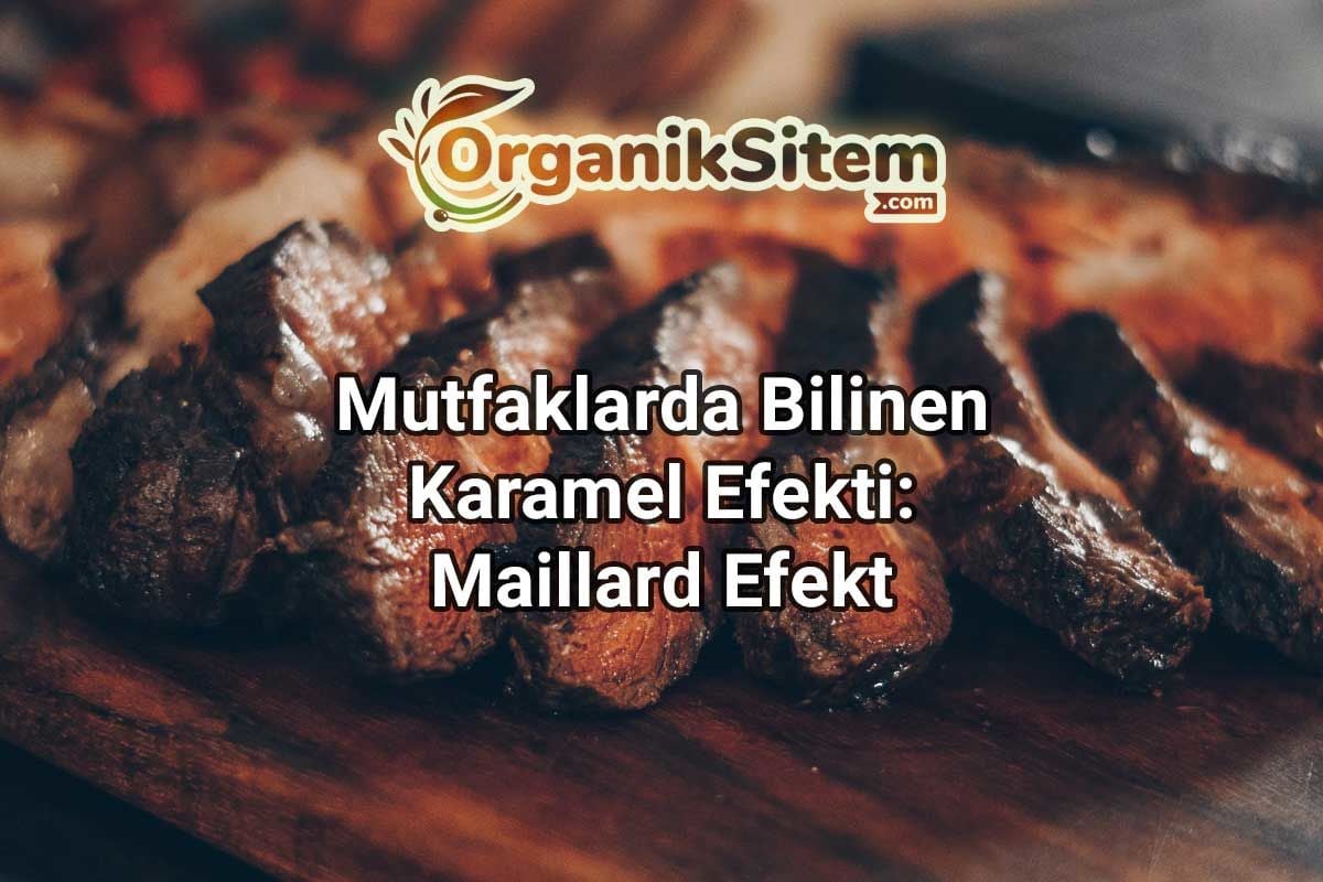 Mutfaklarda Bilinen Karamel Efekti: Maillard Efekt