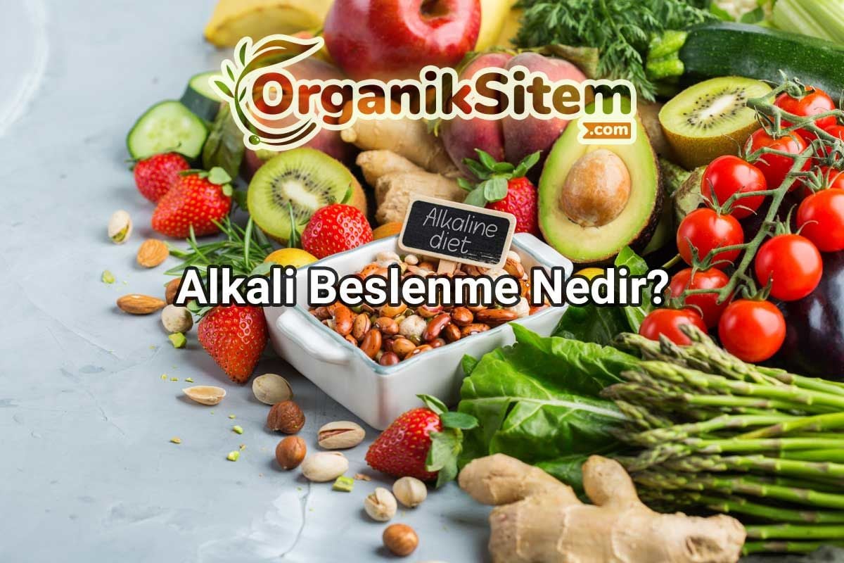 Alkali Beslenme Nedir? 