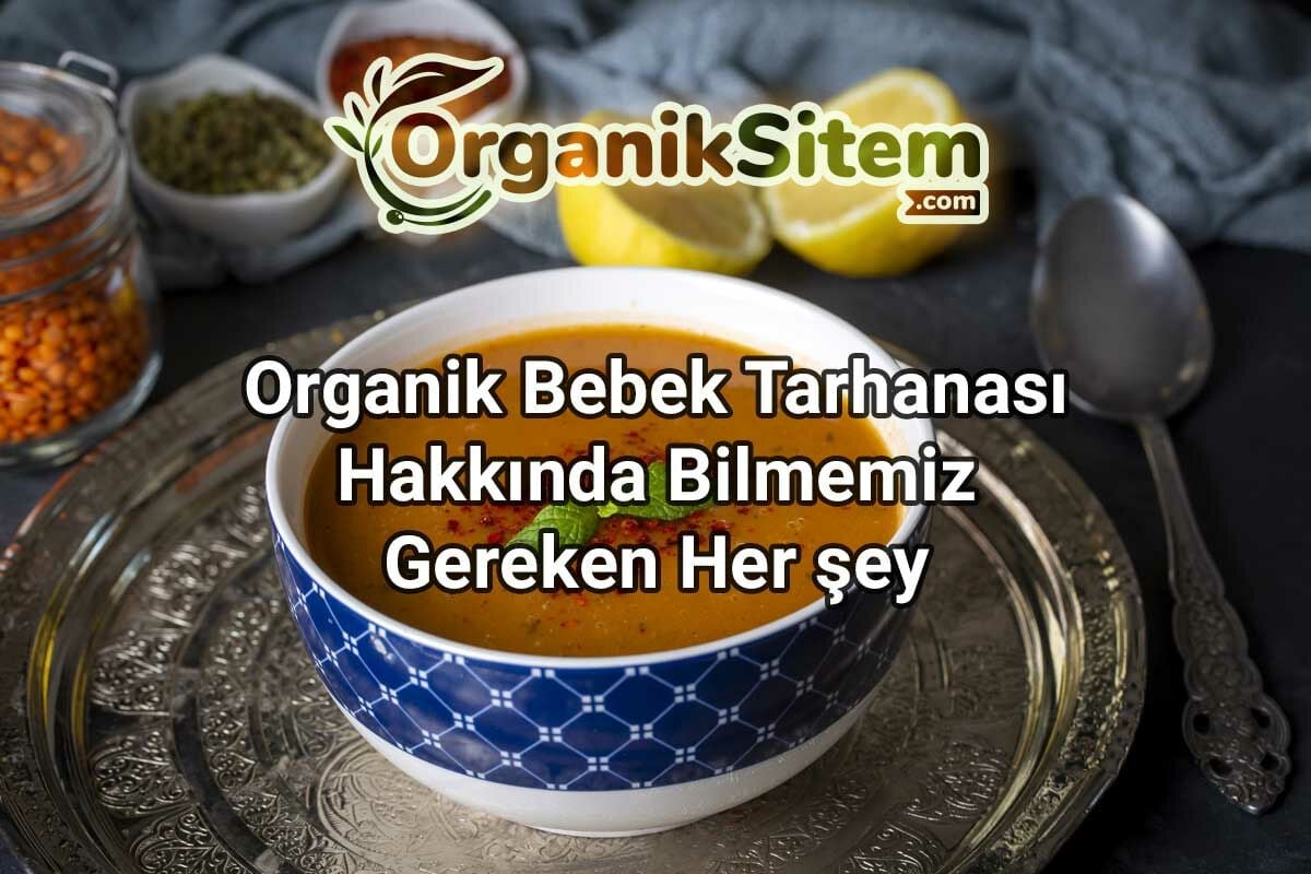 ﻿Organik Bebek Tarhanası Hakkında Bilmemiz Gereken Her şey