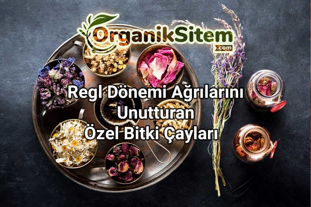 ﻿Regl Dönemi Ağrılarını Unutturan Özel Bitki Çayları  