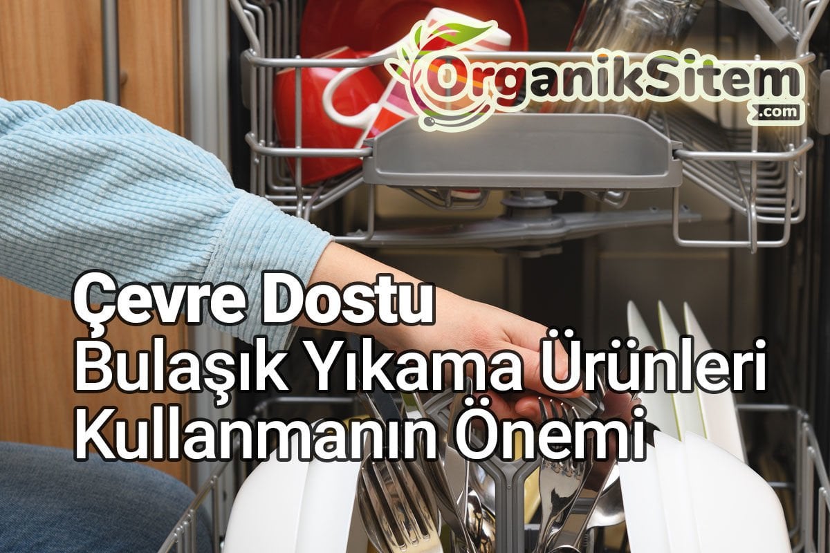 Çevre Dostu Bulaşık Yıkama Ürünleri Kullanmanın Önemi