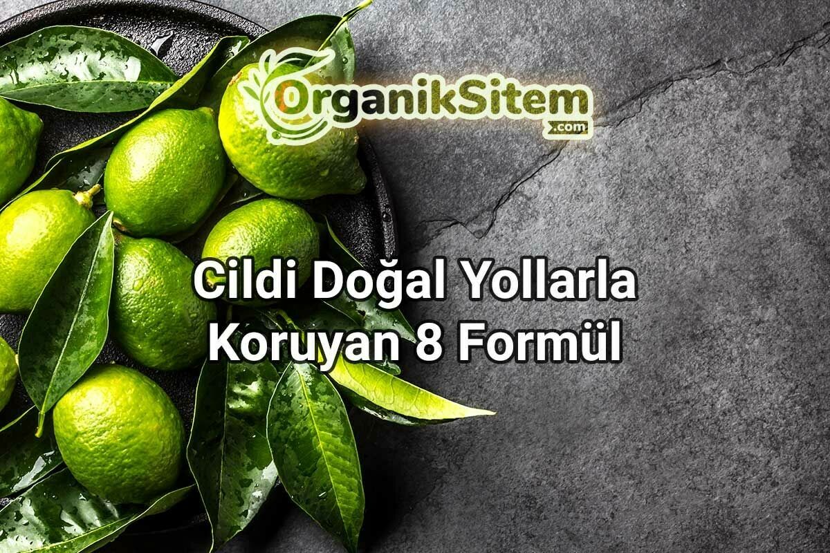 Cildi Doğal Yollarla Koruyan 8 Formül