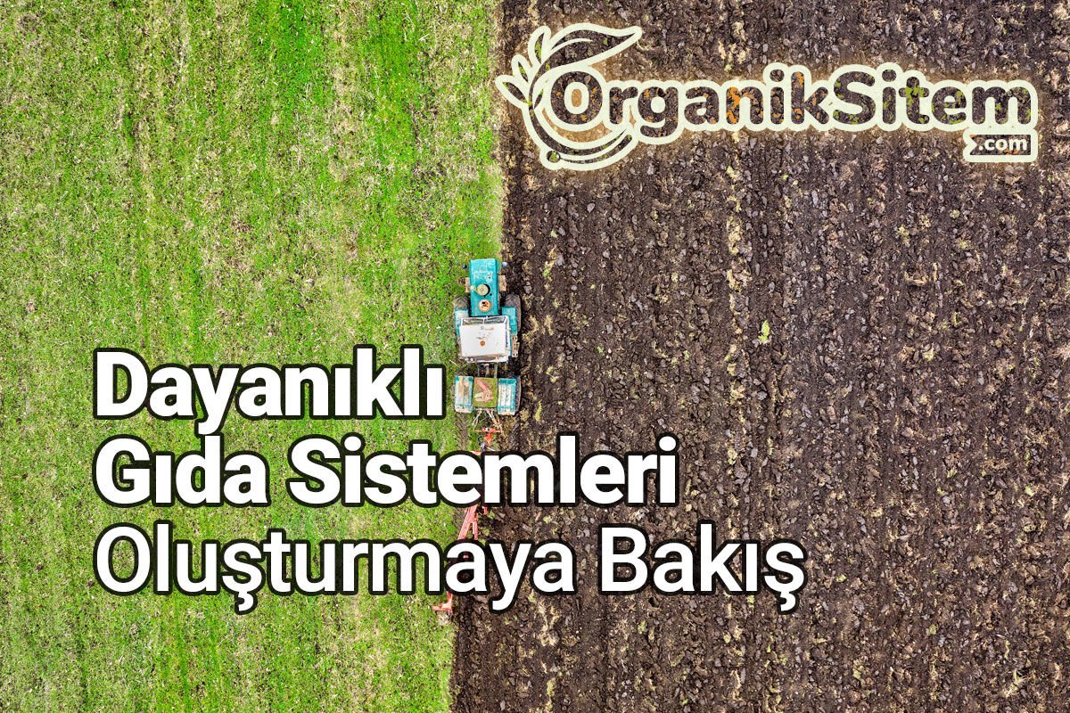 Dayanıklı Gıda Sistemleri Oluşturmaya Bakış