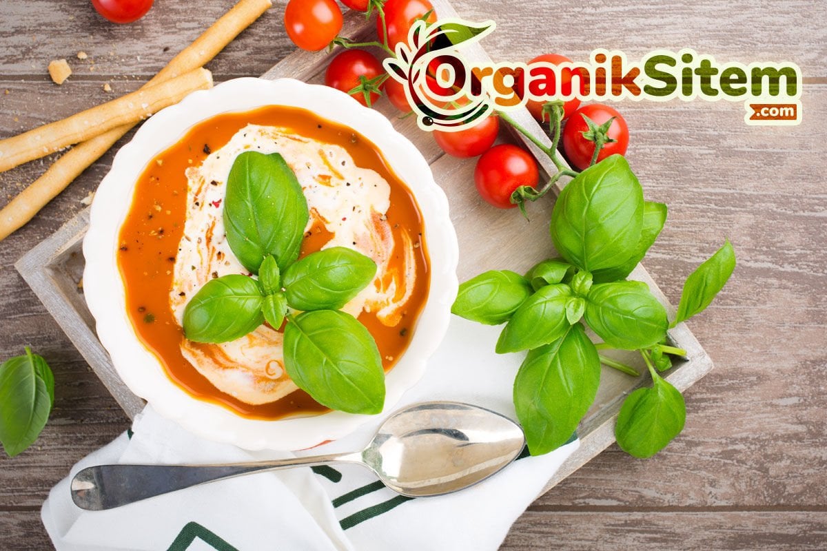 Fesleğenli Domates Çorbası Tarifi
