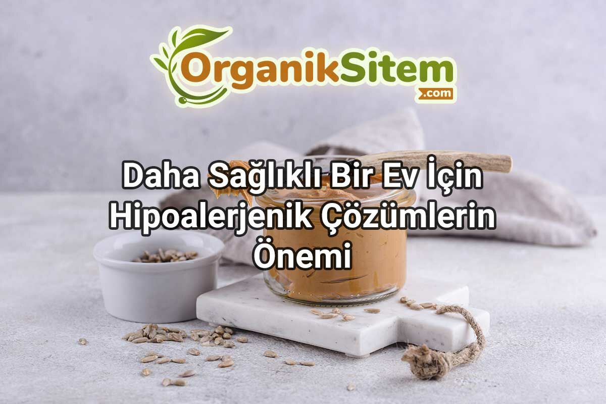 Daha Sağlıklı Bir Ev İçin Hipoalerjenik Çözümlerin Önemi