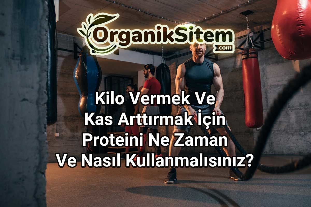 Kilo Vermek Ve Kas Arttırmak İçin Proteini Ne Zaman Ve Nasıl Kullanmalısınız?