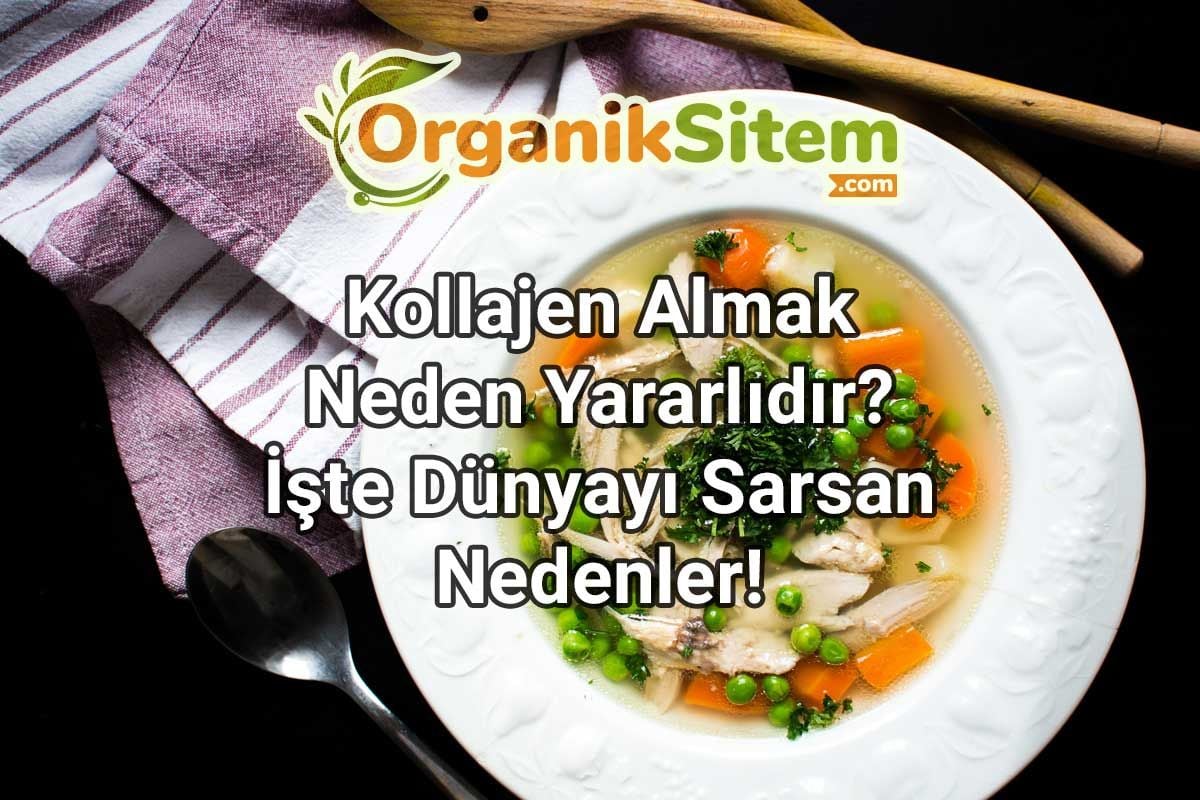 Kollajen Almak Neden Yararlıdır? İşte Dünyayı Sarsan Nedenler!