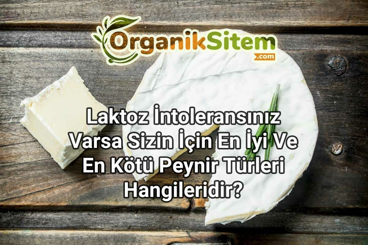 Laktoz İntoleransınız Varsa Sizin İçin En İyi Ve En Kötü Peynir Türleri Hangileridir?