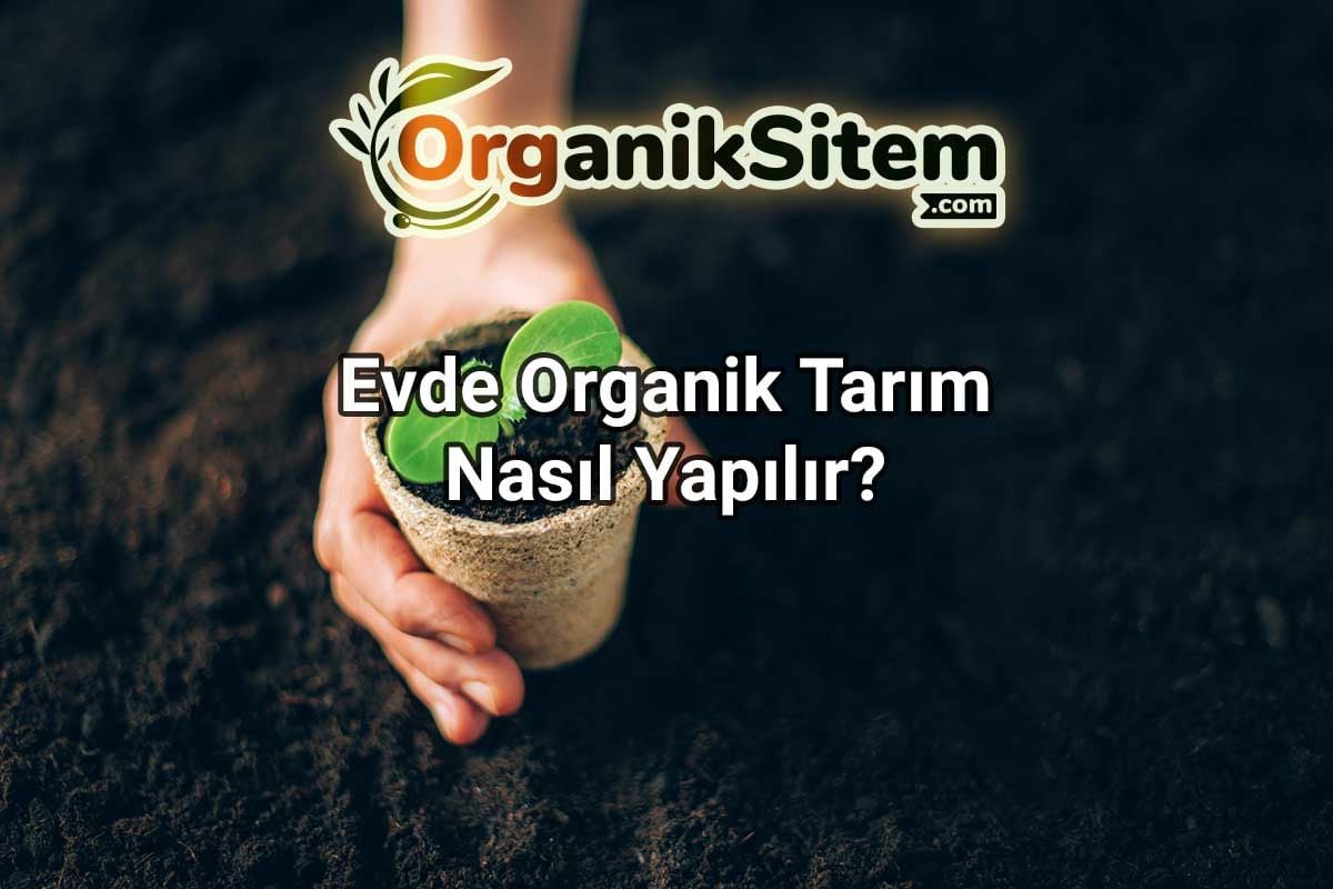 Evde Organik Tarım Nasıl Yapılır?