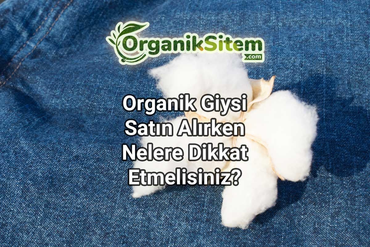 Organik Giysi Satın Alırken Nelere Dikkat Etmelisiniz?