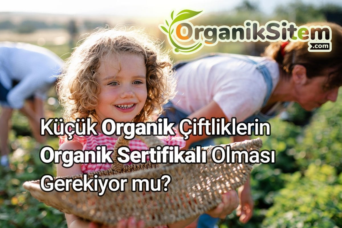 Küçük Organik Çiftliklerin Organik Sertifikalı Olması Gerekiyor mu?
