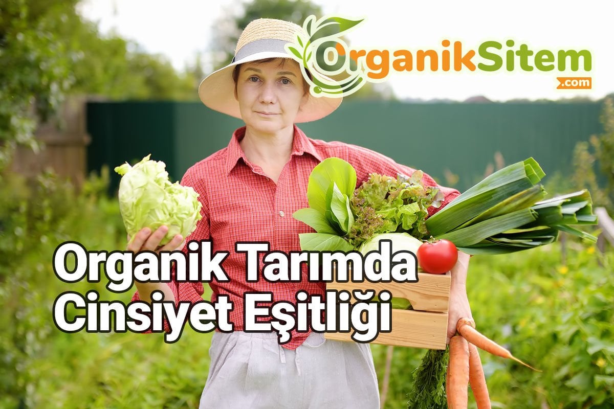 Organik Tarımda Cinsiyet Eşitliği