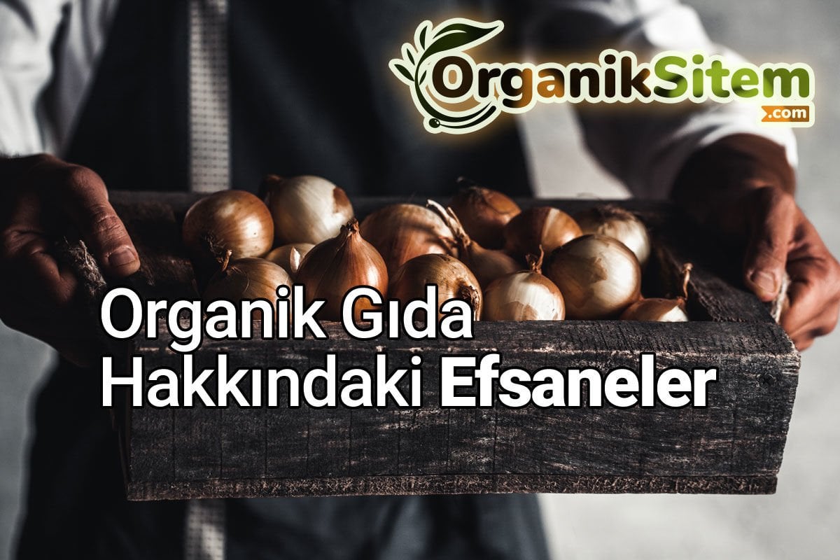 Organik Gıda Hakkındaki Efsaneler