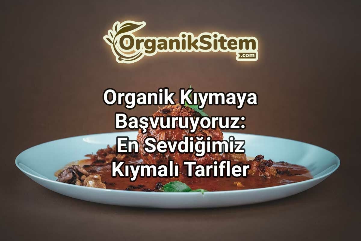 Organik Kıymaya Başvuruyoruz: En Sevdiğimiz Kıymalı Tarifler