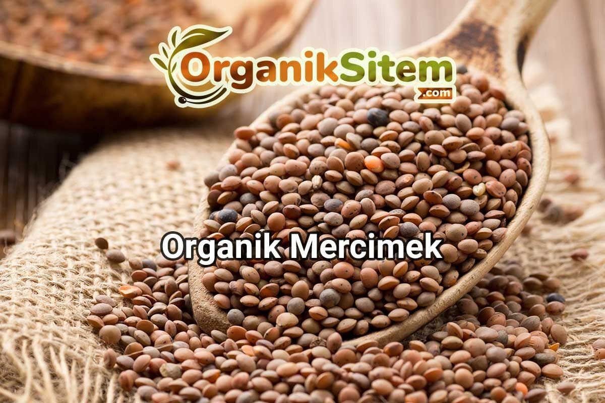 Organik Mercimek, Daha Sağlıklı Seçim Yapmak Mümkün Mü?