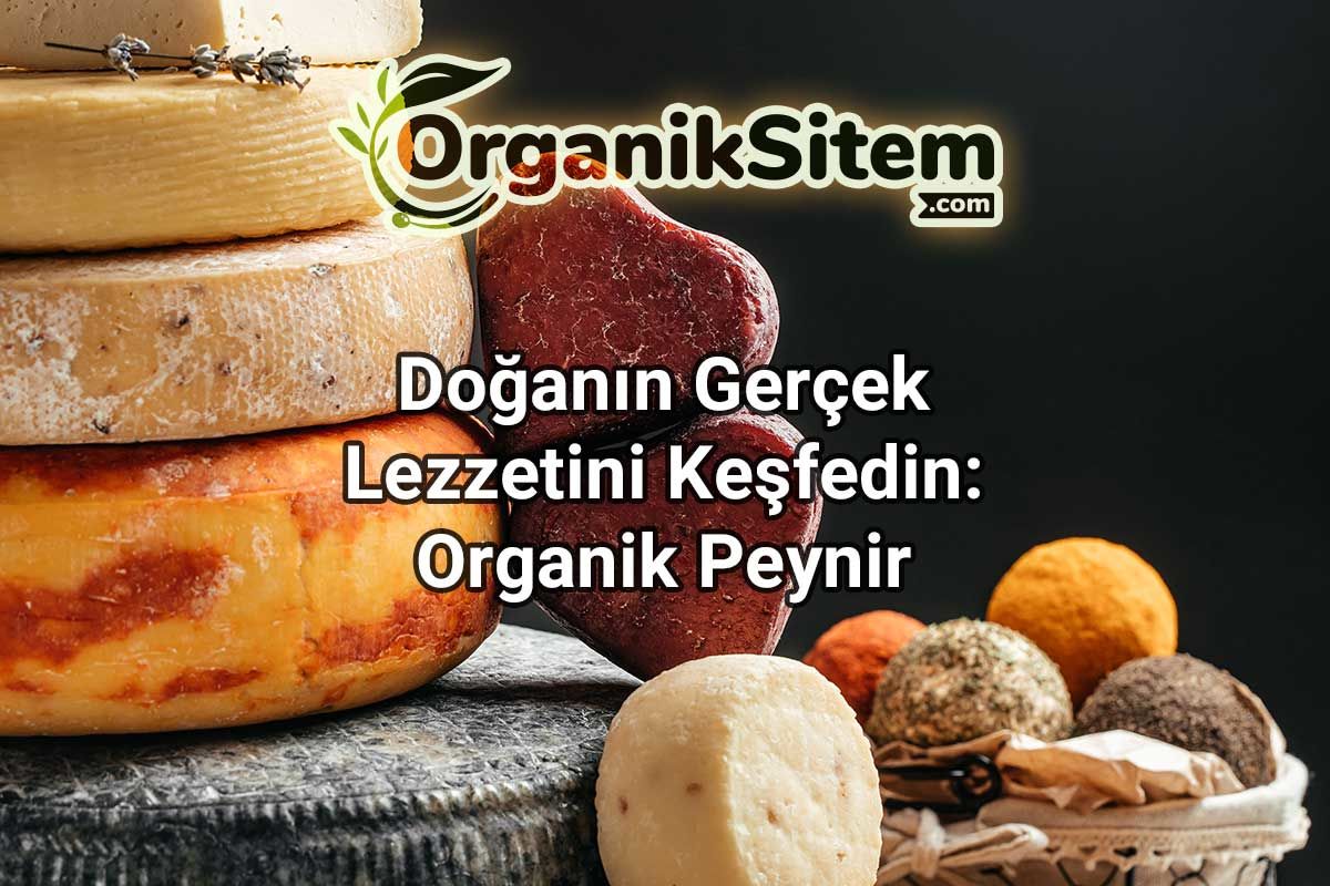 Doğanın Gerçek Lezzetini Keşfedin: Organik Peynir