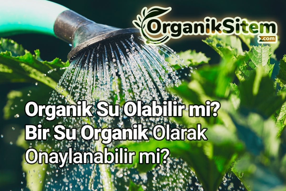 Organik Su Olabilir mi? Bir Su Organik Olarak Onaylanabilir mi?